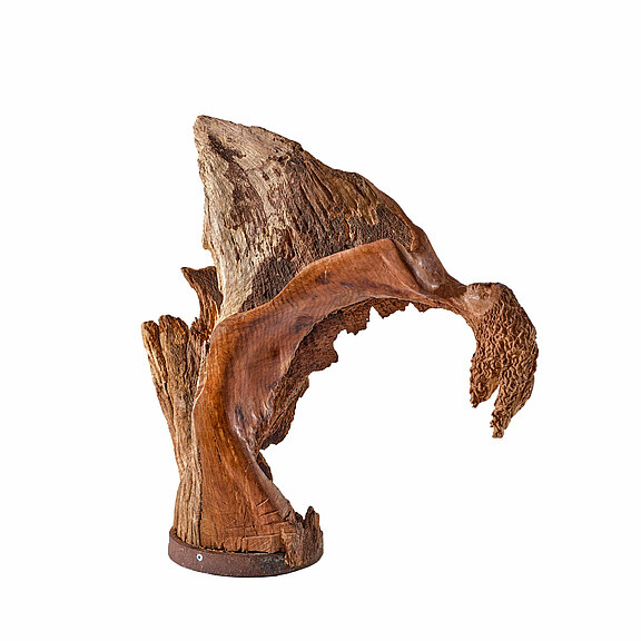 Engel - Jahr: 2018 - Abmessungen: 58 56 21 - Material: Eichenwurzel mit alten Eisenring Engel - Jahr: 2018 - Abmessungen: 58 56 21 - Material: Eichenwurzel mit alten Eisenring